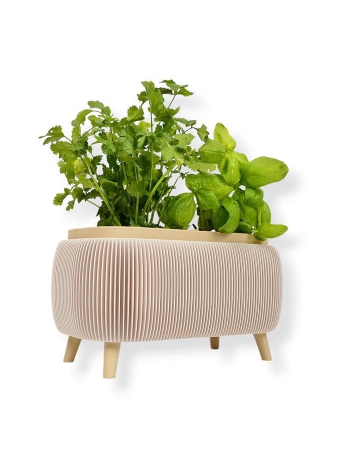 Simiu - Thalor Herbs - Gewürz-Kräutertopf - Groß