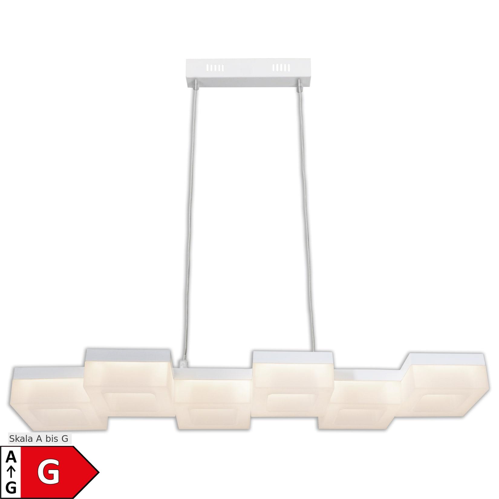 Näve LED Pendelleuchte "MOGGI"