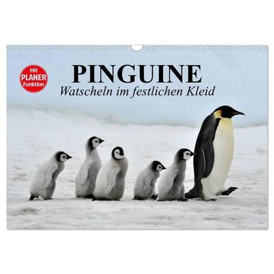 Pinguine - Watscheln im festlichen Kleid (Wandkalender 2027 DIN A3 quer), CALVENDO Monatskalender
