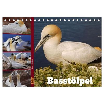 Faszination Basstölpel (Tischkalender 2027 DIN A5 quer), CALVENDO Monatskalender