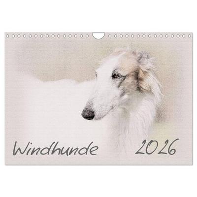 Windhunde 2026 (Wandkalender 2026 DIN A4 quer), CALVENDO Monatskalender