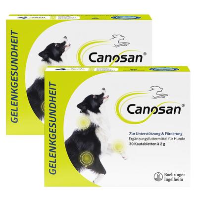 2x Canosan Kautabletten bei Gelenkproblemen Hund mit Grünlippmuschel-Extrakt Gonex 2x30 St