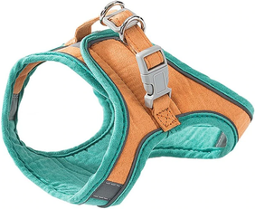 PetsAreLife Luminous Escape Proof Cat Vest Harness And Leash Set Glow In The Dark, Comfortable & Safe For Cats Green XL