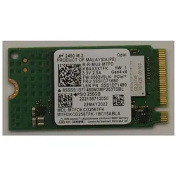 Lenovo Ssd asm (256 GB, M.2 2242), SSD
