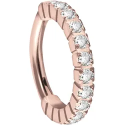 Titan Segmentring Clicker EINGEFASSTE KRISTALLE