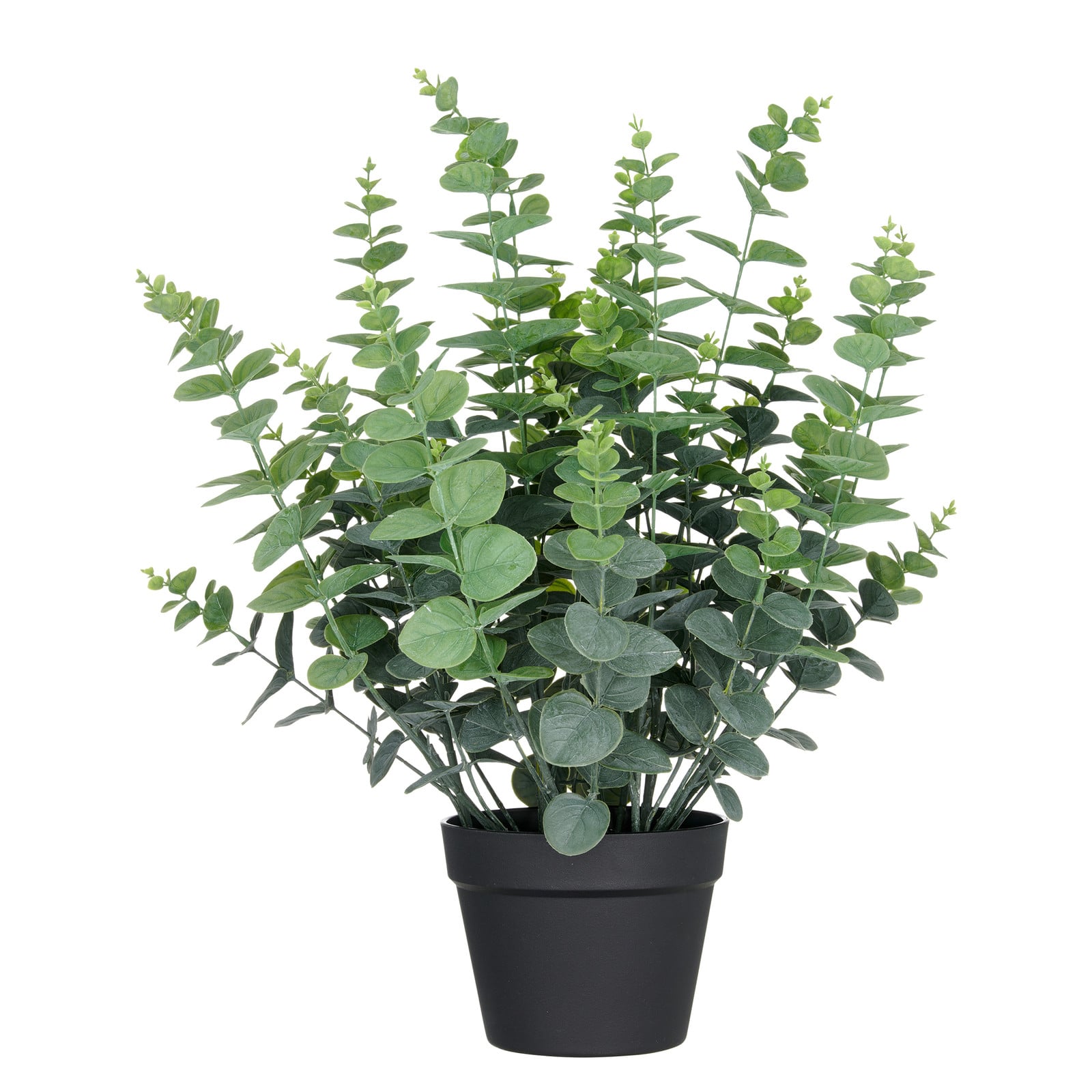 home24 Kunstplant Eucalyptus Groen Hoogte: 60 cm