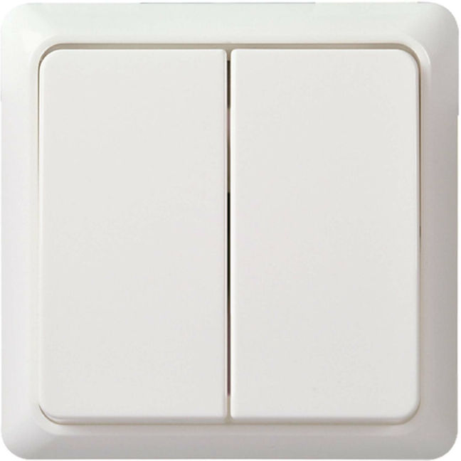 Elso Interrupteur en série rw 511504 (511504)