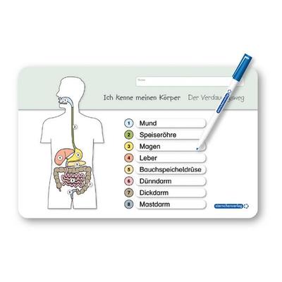 Ich kenne meinen Körper - Der Verdauungsweg, Zubehör von Sternchenverlag, Sternchenverlag, 978-3-939293-41-5