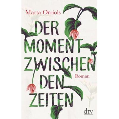 Der Moment zwischen den Zeiten, Gebundene Ausgabe von Marta Orriols, dtv