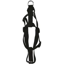 Martin Hondentuig Basic Nylon Zwart (XS, Hund, Spazieren), Halsband + Leine