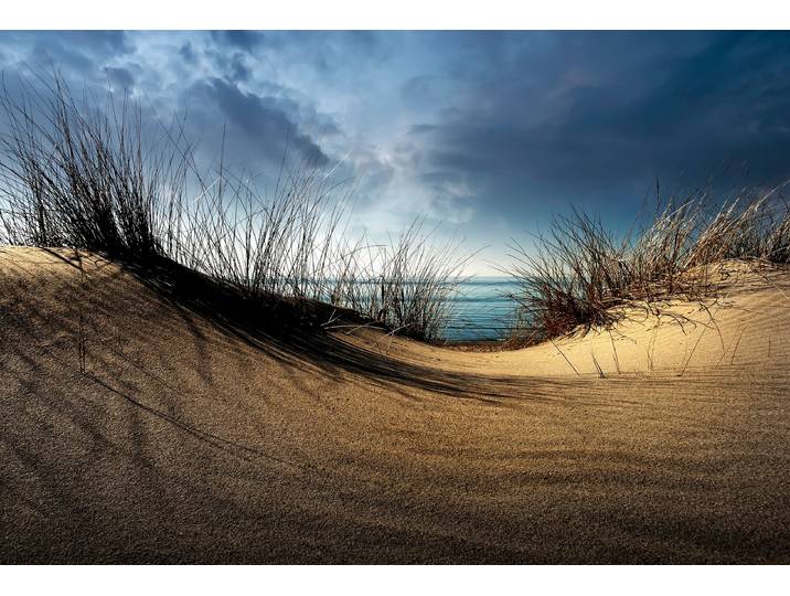 Fototapete PAPERMOON Photo-Art WIM SCHUURMANS, DÜNEN , bunt, B:5m L:2,8m, Vlies, Tapeten, Fototapete