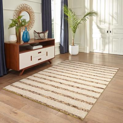 Lush Decor Lhasa Stripe Indoor Area Rug