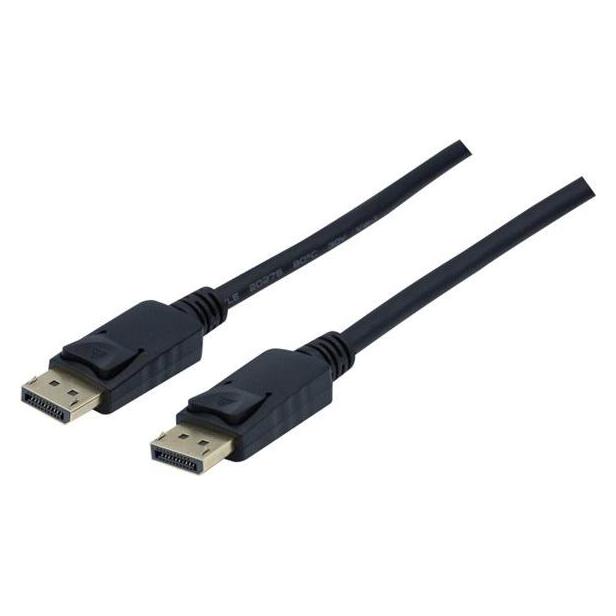 Générique DisplayPort 1.1 cord- 1 m (1 m) (127000)