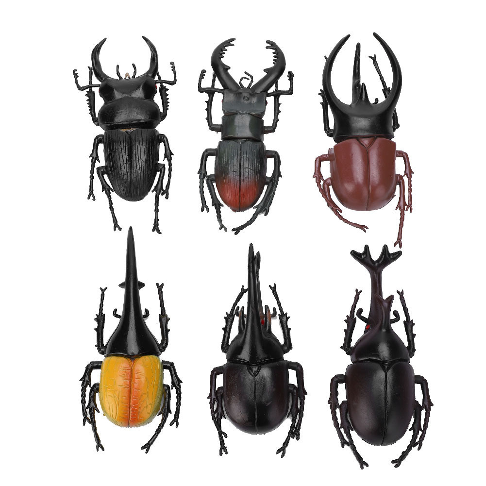 Cocosity 6 stuks gesimuleerde kever-insectmodellen voor Halloween-decoratie, zwart PVC speelgoed