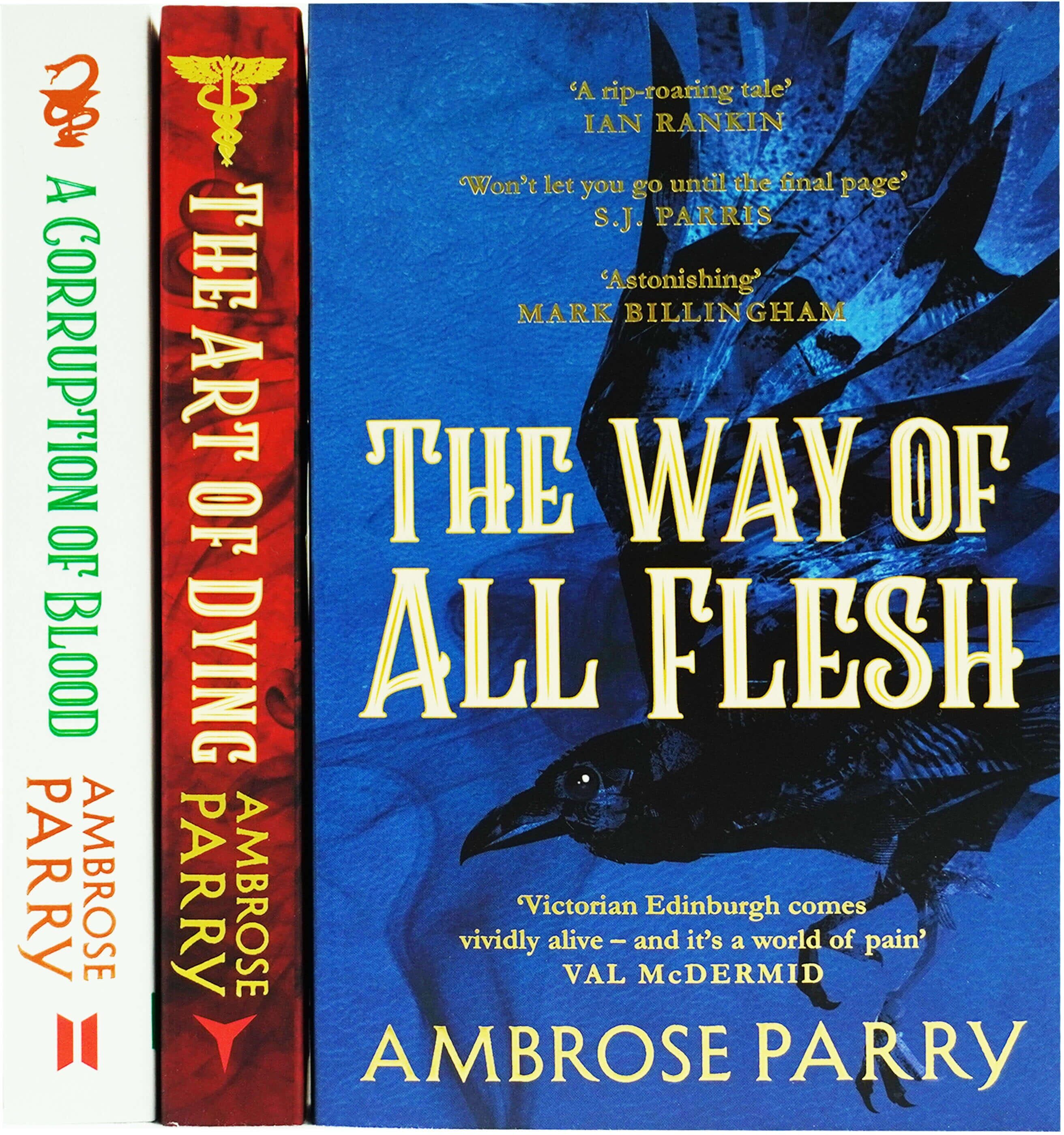 A Raven and Fisher Mystery by Ambrose Parry 3 Books Collection Set - Fiction - Paperback Canongate Books