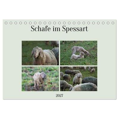 Schafe im Spessart (Tischkalender 2027 DIN A5 quer), CALVENDO Monatskalender