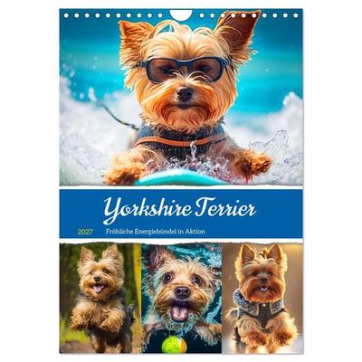 Yorkshire Terrier. Fröhliche Energiebündel in Aktion (Wandkalender 2027 DIN A4 hoch), CALVENDO Monatskalender