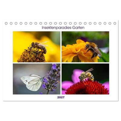 Insektenparadies Garten (Tischkalender 2027 DIN A5 quer), CALVENDO Monatskalender