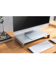 DIGITUS Aluminium Monitorerhöhung Silber (DA-90369)