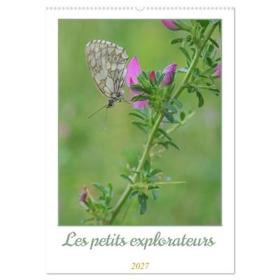 Les petits explorateurs (Calendrier mural 2027 DIN A2 horizontal), CALVENDO calendrier mensuel