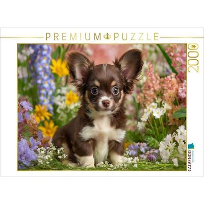 CALVENDO Puzzle Klein, frech und einfach zum Verlieben | 2000 Teile Lege-Größe 90x67cm Foto-Puzzle für glückliche Stunden
