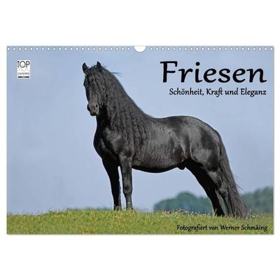 Friesen - Schönheit, Kraft und Eleganz (Wandkalender 2026 DIN A3 quer), CALVENDO Monatskalender