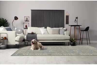 EORC Hand Knotted Wool Gray Traditional Oriental Oushak Rug - 6' x 9'
