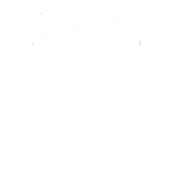 Hansa Rastbuchse 59910235 weiß