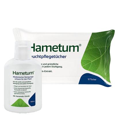 Hametum Hämo Pflege (Schaum + Feuchttücher) 1 St Set