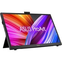 ProArt PA169CDV, LED-Monitor 40 cm (16 Zoll), schwarz, UltraHD/4K, IPS, USB-C, HDMI