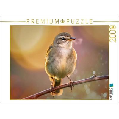 CALVENDO Puzzle Der kleine Star, ein Blick, der hängen bleibt. | 2000 Teile Lege-Größe 90 × 67 cm Foto-Puzzle für glückliche Stunden, von , Calvendo