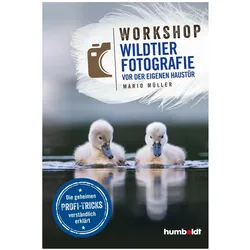 Workshop Wildtierfotografie vor der eigenen Haustür, Ratgeber von Mario Müller