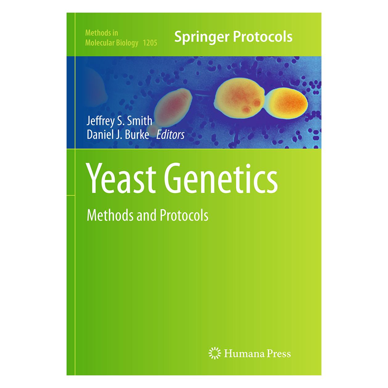 Springer Yeast Genetics (Englisch, Softcover, Daniel J. Burke, Jeffrey S. Smith) (55847545)