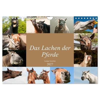 Das Lachen der Pferde - Lustige Gesichter (Wandkalender 2027 DIN A4 quer), CALVENDO Monatskalender