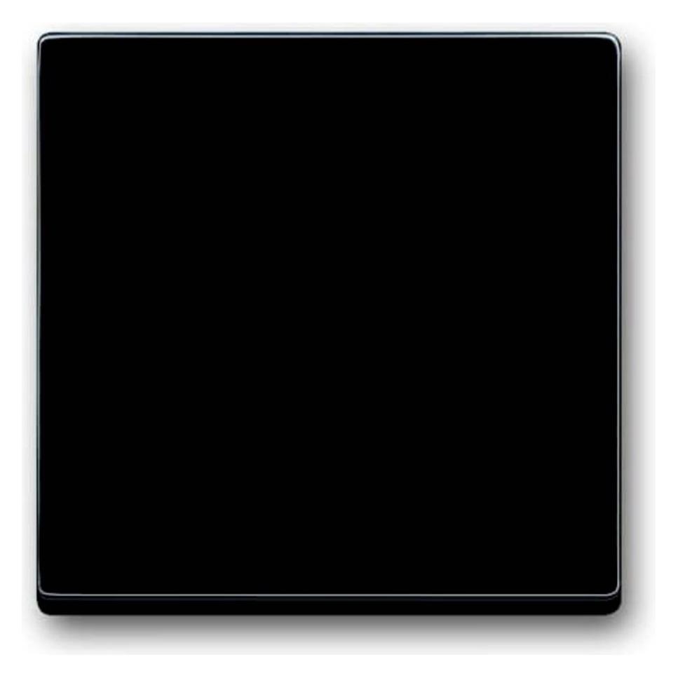 Busch-Jaeger Wippe (2CKA001751A2926)