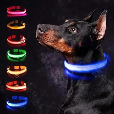 Uplift Essentials LED Glowing Dog Collar Adjustable Night Safety Luminous Collar yellow xs