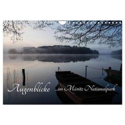 Augenblicke im Müritz Nationalpark (Wandkalender 2027 DIN A4 quer), CALVENDO Monatskalender