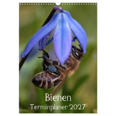 Bienen-Terminplaner 2027 (Wandkalender 2027 DIN A3 hoch), CALVENDO Monatskalender