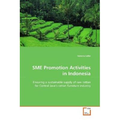 Lehn Verena: SME Promotion Activities in Indonesia, Taschenbuch von Verena Lehn, VDM, 978-3-639-09797-9