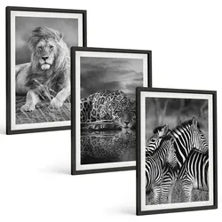 BILDER SET 3er Set - 40x60 cm Schwarzer Rahmen - Wildtiere der Savanne