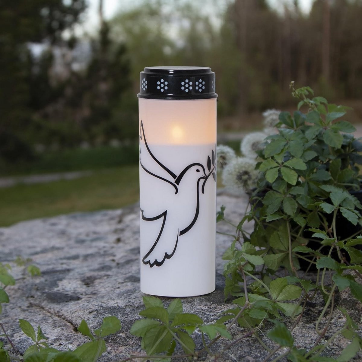 LED Grafkaars met Duif, Wit, Warm Wit Licht, Timer en Batterijvoeding