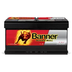12V 95Ah 780A Banner Power Bull P9533 Starterbatterie