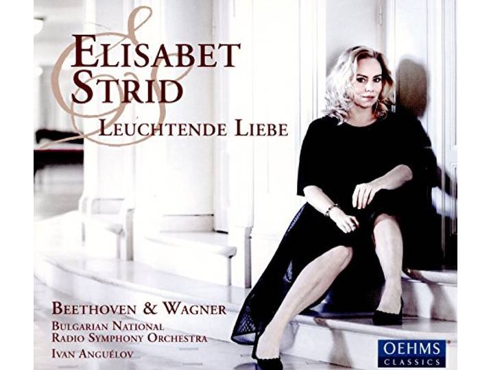 Leuchtende Liebe