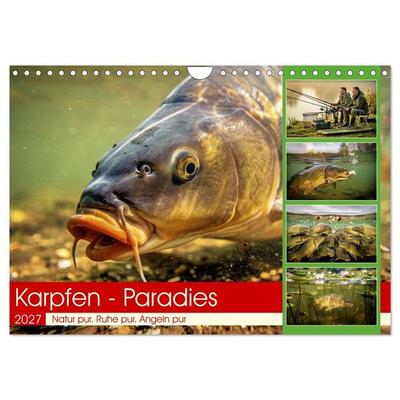 Karpfen - Paradies (Wandkalender 2027 DIN A4 quer), CALVENDO Monatskalender