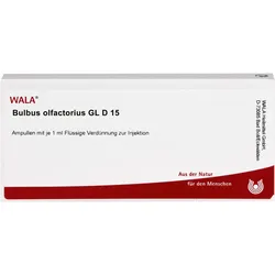 Bulbus Olfactorius Gl D15 10 ML