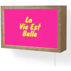 WANDLEUCHTE Zitat - Retro - Rosa 30x20 cm Wandlampe