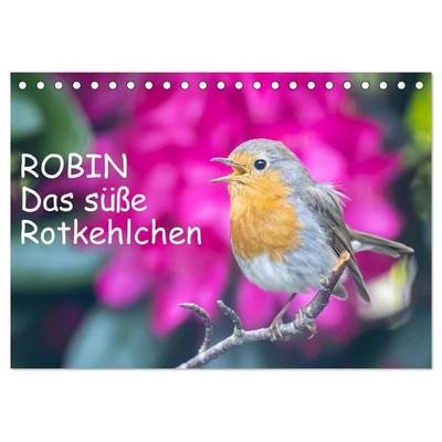 Robin, das süße Rotkehlchen (Tischkalender 2027 DIN A5 quer), CALVENDO Monatskalender