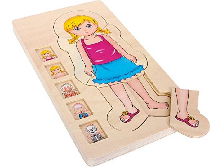 Schichtenpuzzle Anatomie Mädchen