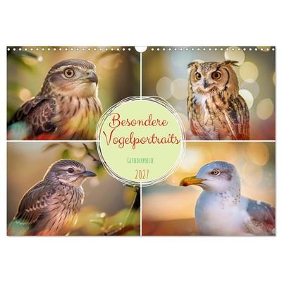 Besondere Vogelportraits (Wandkalender 2027 DIN A3 quer), CALVENDO Monatskalender