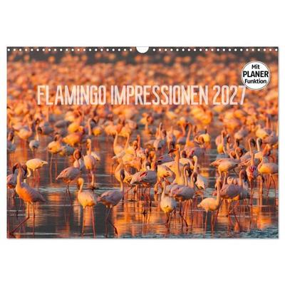 Flamingo Impressionen 2027 (Wandkalender 2027 DIN A3 quer), CALVENDO Monatskalender